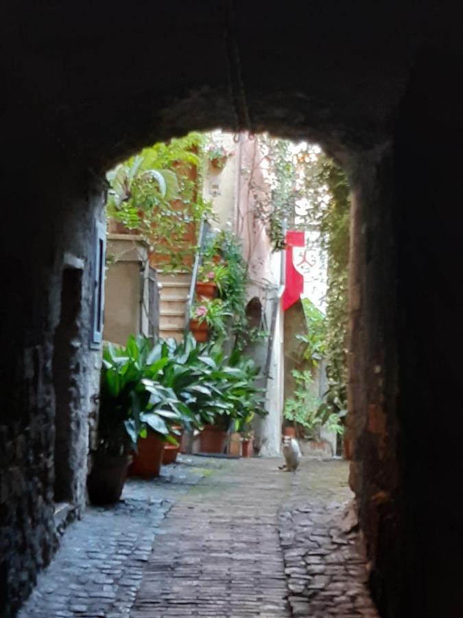 Historical Domus Apartment Anagni Exterior foto