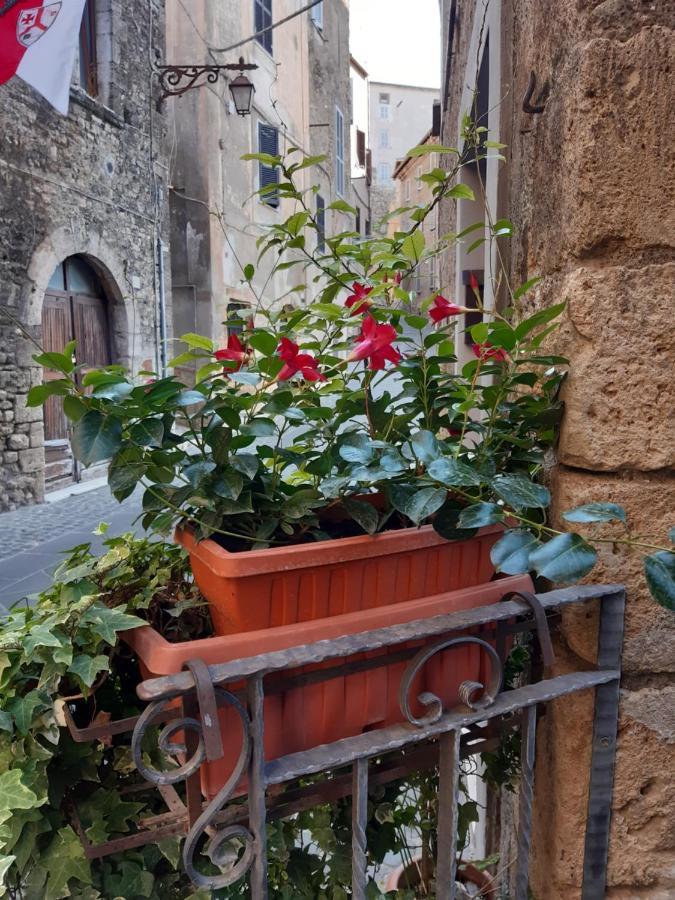 Historical Domus Apartment Anagni Exterior foto